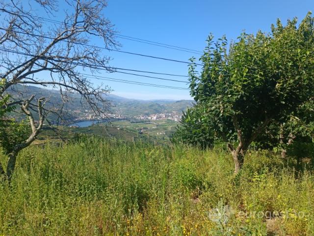 Terreno venda em Quintião, Lamego