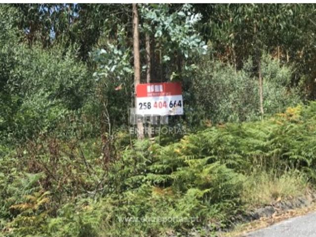 Terreno venda em Caminha (Matriz) e Vilarelho, Caminha
