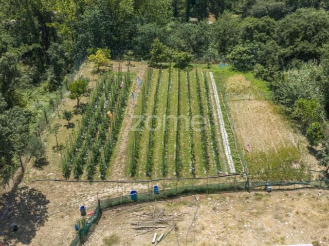 Terreno venda em Porto