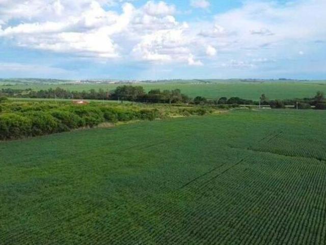 Terreno venda em Região Imediata de Piracicaba, Região Metropolitana de Piracicaba