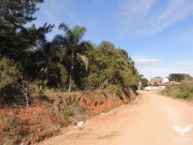 Terreno venda em Campo de São Benedito, Campo Magro