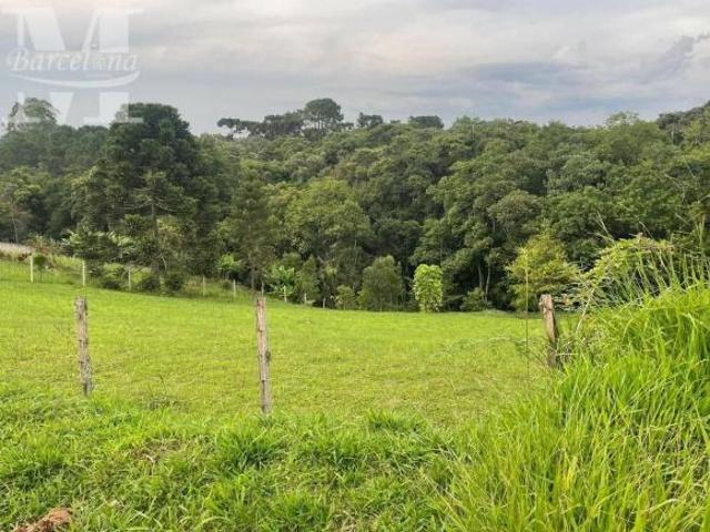 Terreno venda em Campo de São Benedito, Campo Magro