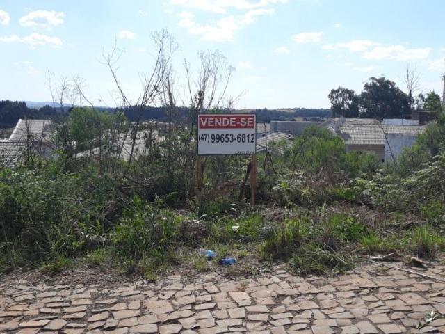 Terreno venda em Campos Novos, Região Sul