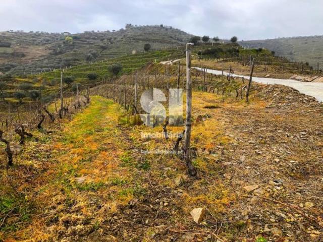 Terreno venda em Candedo, Vila Real
