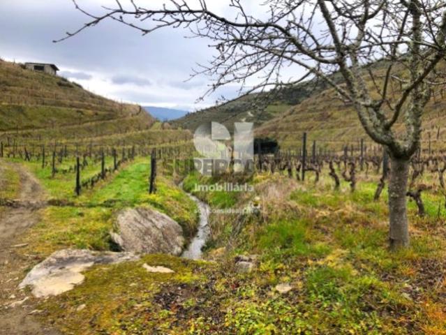 Terreno venda em Candedo, Vila Real