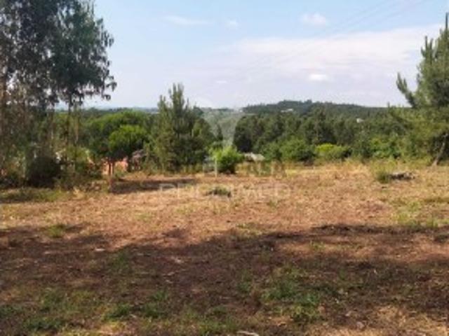 Terreno venda em Santa Maria Da Feira, Aveiro