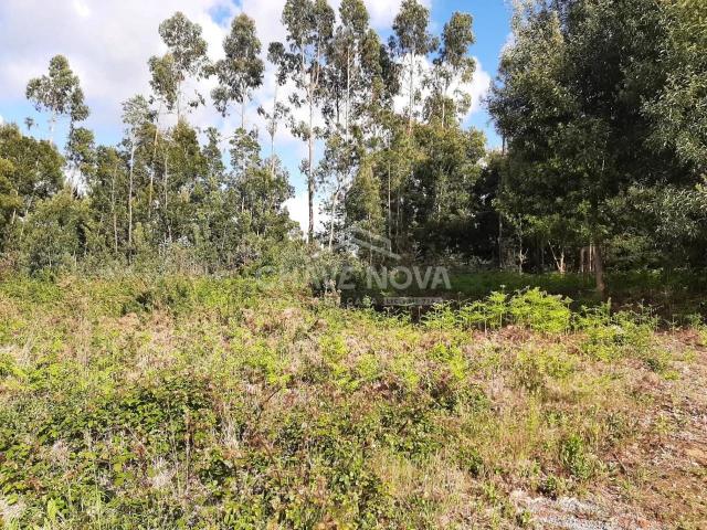 Terreno venda em Salvador, Vila Real