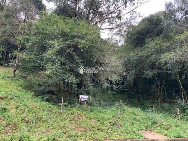 Terreno venda em Região Geográfica Imediata de Caxias do Sul, Canela