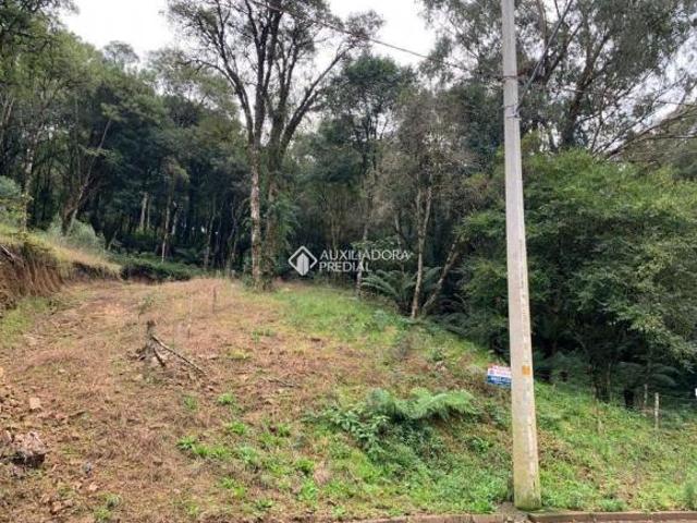 Terreno venda em Região Geográfica Imediata de Caxias do Sul, Canela
