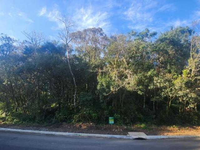 Terreno venda em Região Geográfica Imediata de Caxias do Sul, Canela