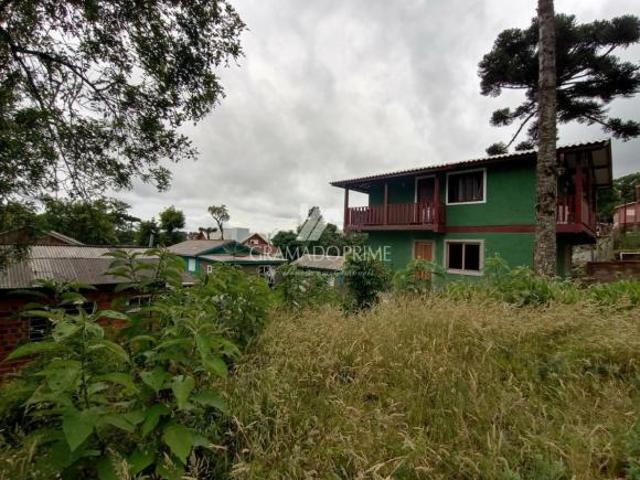 Terreno venda em Canela