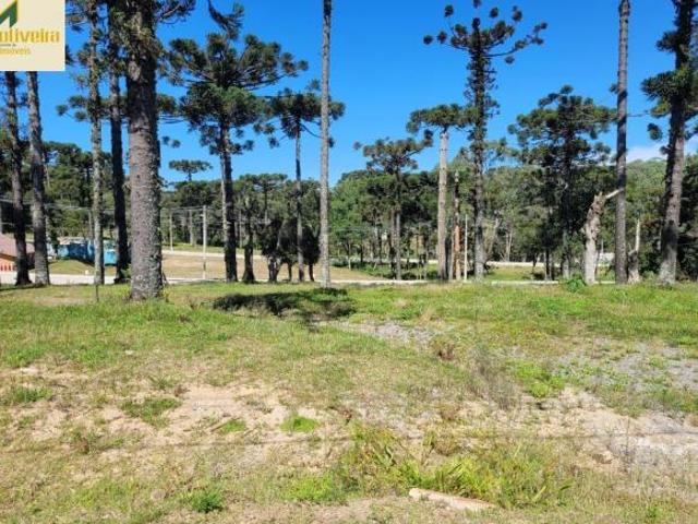 Terreno venda em Região Geográfica Imediata de Caxias do Sul, Canela