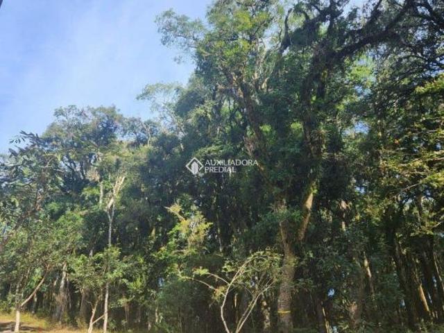 Terreno venda em Região Geográfica Imediata de Caxias do Sul, Gramado