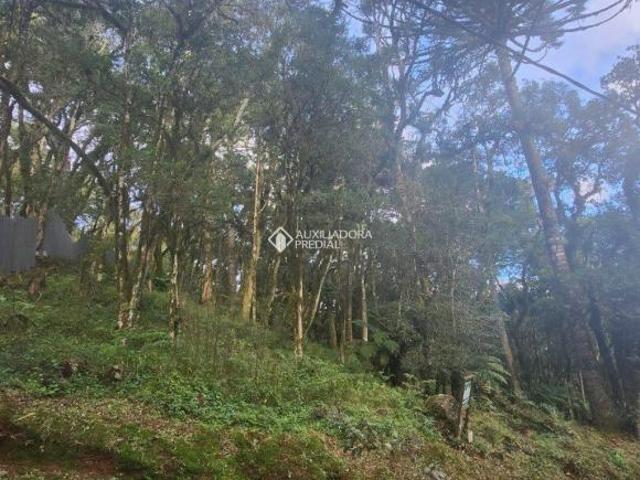 Terreno venda em Região Geográfica Imediata de Caxias do Sul, Gramado