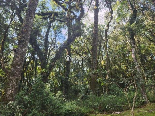 Terreno venda em Região Geográfica Imediata de Caxias do Sul, Gramado