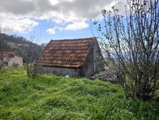 Terreno venda em Ponta Do Sol, Ilha Da Madeira