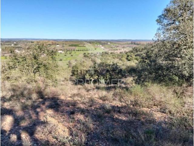 Terreno venda em Capelins (Santo António), Évora