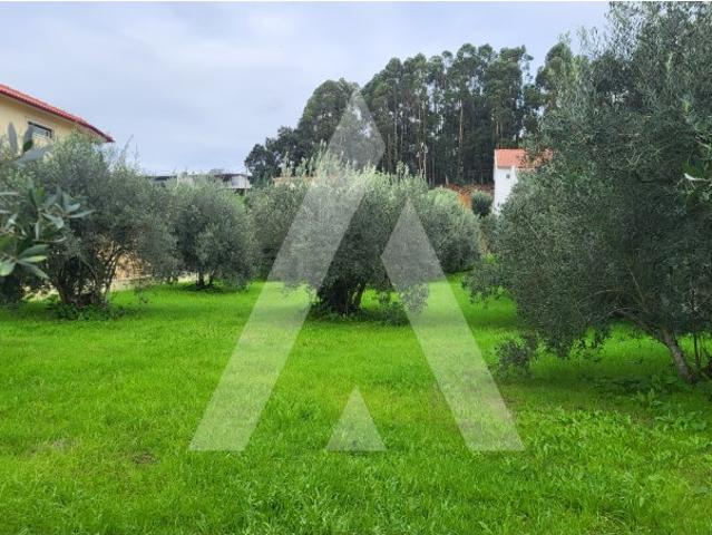 Terreno venda em Casal da Cruz, Leiria