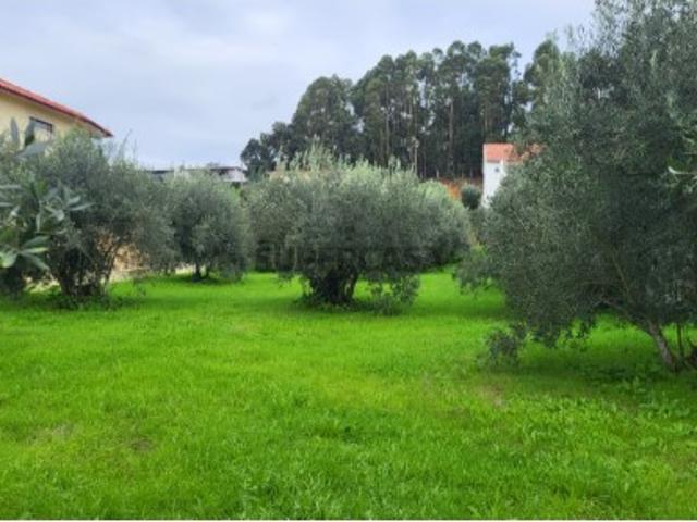 Terreno venda em Leiria