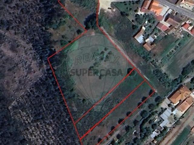 Terreno venda em Montemor-o-velho, Porto Luzio Terreno venda em Montemor-o-velho, Porto Luzio