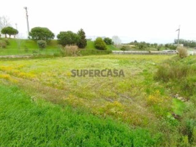 Terreno venda em Montemor-o-velho Terreno venda em Montemor-o-velho