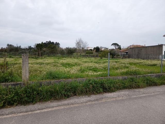 Terreno venda em Montemor-o-velho, Coimbra