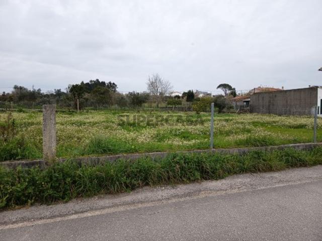 Terreno venda em Montemor-o-velho, Coimbra