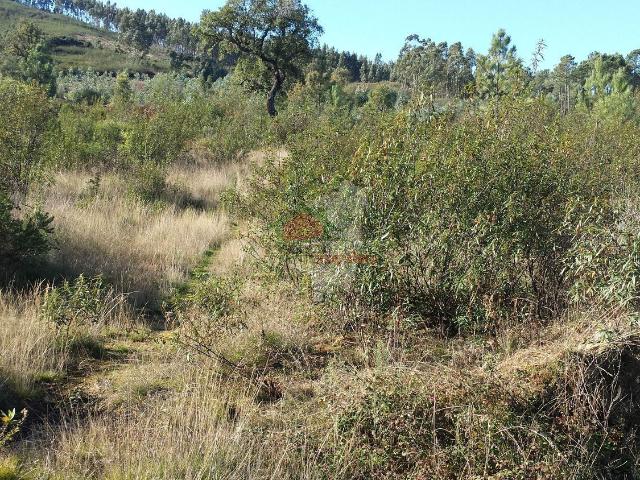 Terreno venda em Mação, Santarém