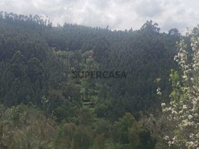 Terreno venda em Mação, Santarém