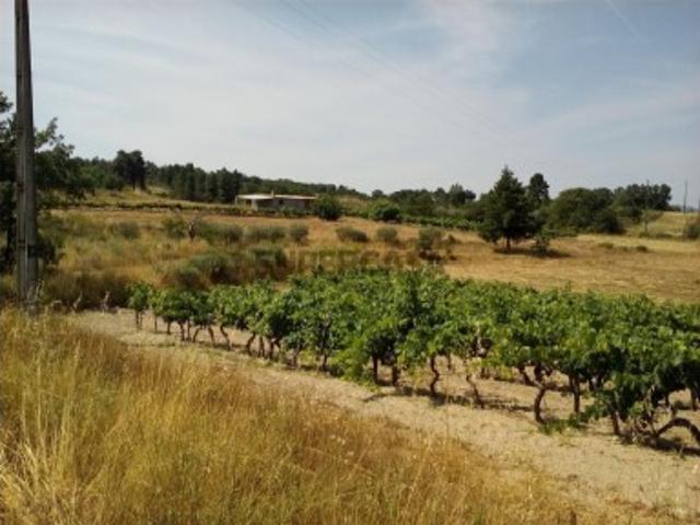 Terreno venda em Belmonte
