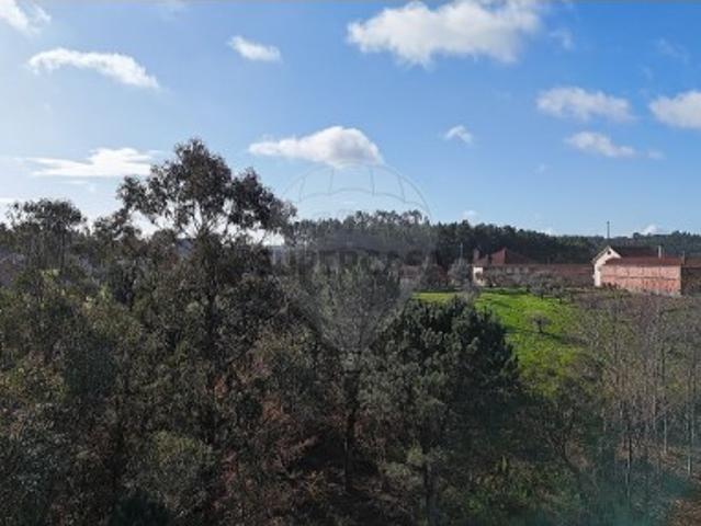 Terreno venda em Pombal, Carnide