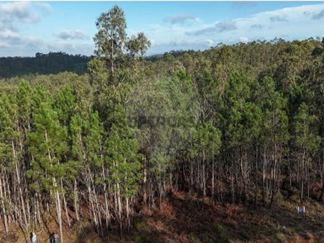 Terreno venda em Pombal, Carnide