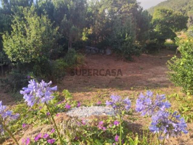 Terreno venda em Viana Do Castelo