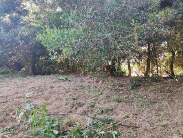 Terreno venda em Areosa, Viana Do Castelo