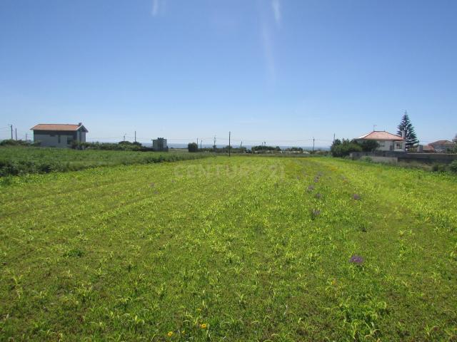 Terreno venda em Viana Do Castelo