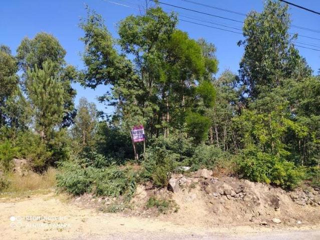 Terreno venda em Oliveira De Azeméis, Aveiro