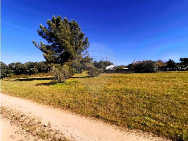 Terreno venda em Chamusca, Santarém