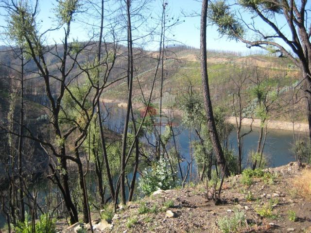 Terreno venda em Castelo Branco, Oleiros