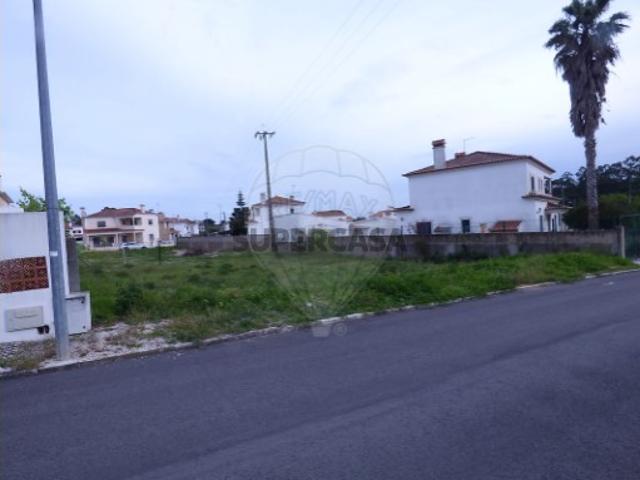 Terreno venda em Cartaxo e Vale da Pinta, Cartaxo