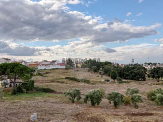 Terreno venda em Cartaxo e Vale da Pinta, Cartaxo
