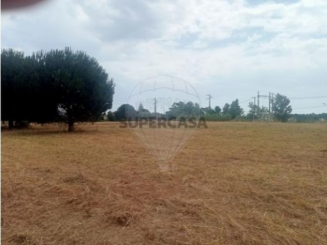 Terreno venda em Cartaxo e Vale da Pinta, Cartaxo