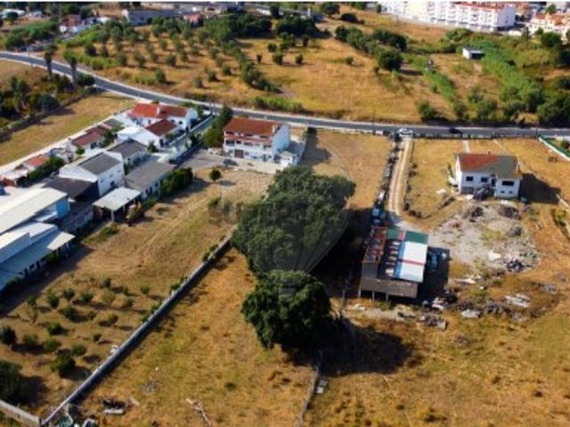 Terreno venda em Cartaxo e Vale da Pinta, Cartaxo