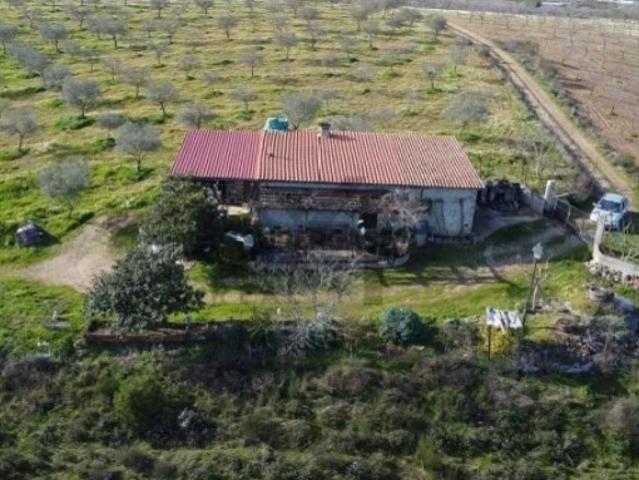 Terreno venda em Passos, Mirandela