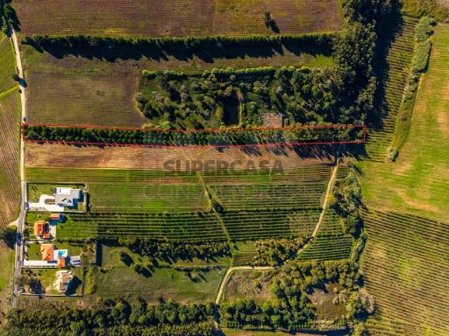 Terreno venda em Cadaval, Vermelha