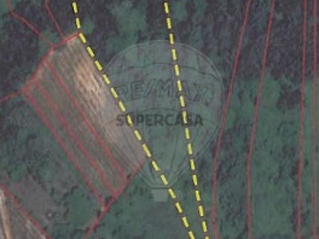 Terreno venda em Barro Lobo, Bombarral