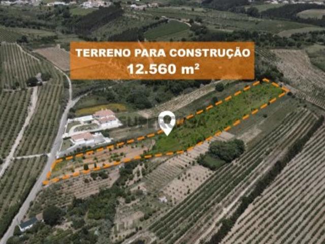 Terreno venda em Bombarral, Leiria