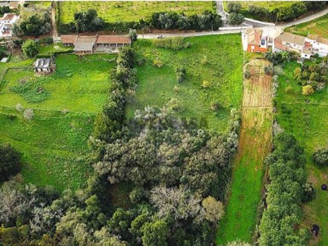 Terreno venda em Rossio do Carvalhal, Bombarral