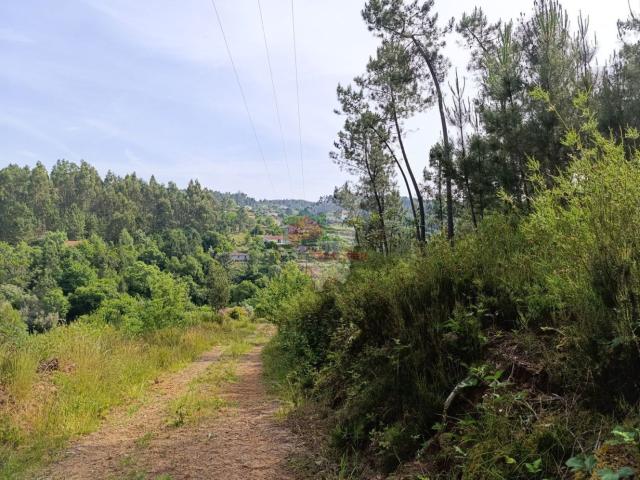 Terreno venda em Castelo Branco, Cumeada
