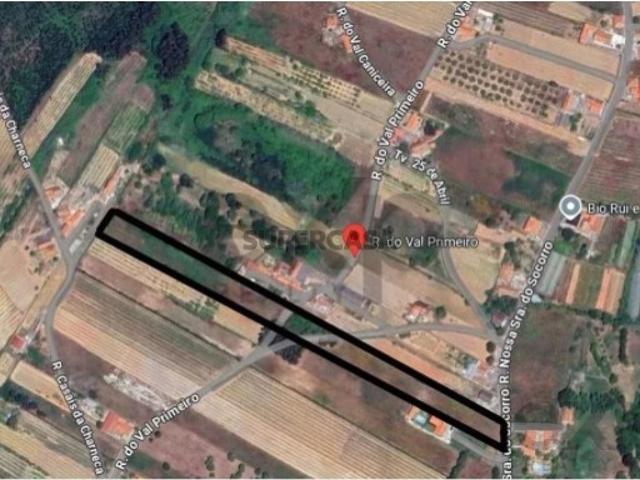 Terreno venda em Bombarral, Carvalhal Terreno venda em Bombarral, Carvalhal