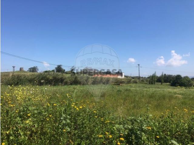 Terreno venda em Bombarral, Leiria